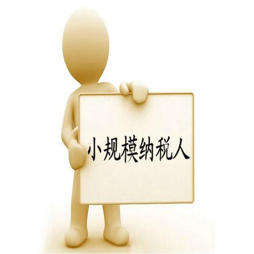 小規(guī)模登記成一般人將在網(wǎng)上辦理，截止日期是2018.11.20前